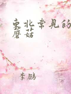 东北常见的野生蘑菇