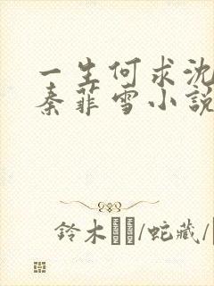 一生何求沈浩然秦菲雪小说