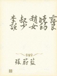 李叔赵晓露的小说少女的良药