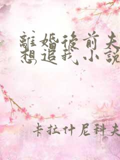 离婚后前夫总是想追我小说免费阅读全集