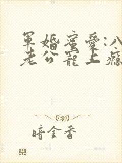 军婚蜜爱:八零老公宠上瘾 小说完整