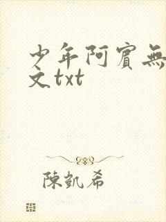 少年阿宾无删全文txt