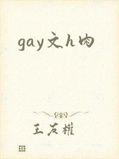 gay文h肉