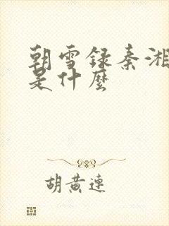 朝雪录秦湘结局是什么