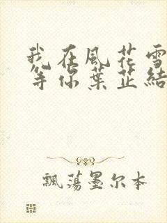 我在风花雪月里等你叶芷结局