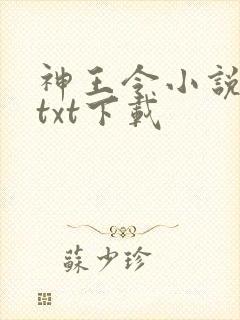 神王令小说免费txt下载