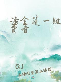 潘金莲一级片免费看