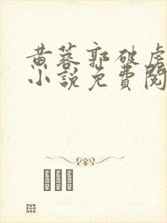 黄蓉郭破虏系列小说免费阅读