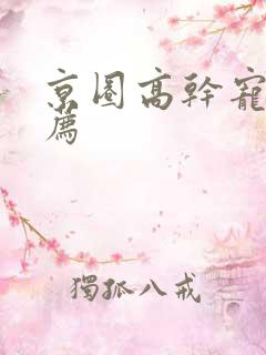 京圈高干宠文推荐