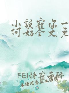 小说宠你一世又何妨全文免费阅读 小说宠你一世又何妨全文免费阅读