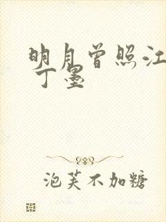 明月曾照江东寒 丁墨
