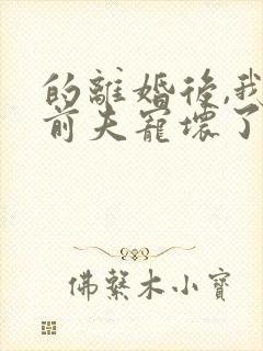 的离婚后,我被前夫宠坏了