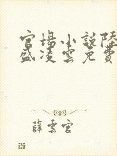 官场小说陆羽与盛凌云免费阅读