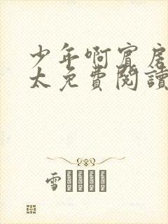少年啊宾房东太太免费阅读全文小说