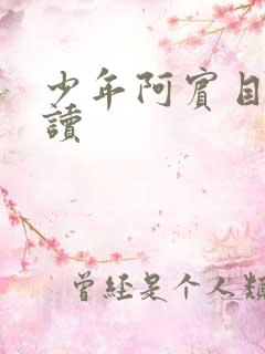少年阿宾目录阅读