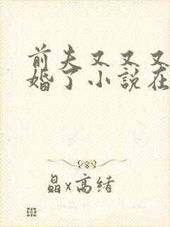 前夫又又又想复婚了小说在线阅读