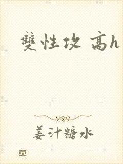 双性攻 高h