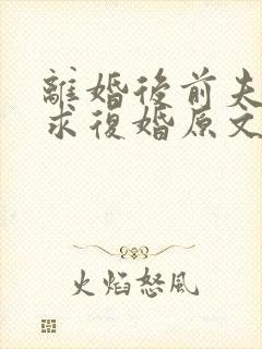 离婚后前夫哭着求复婚原文免费阅读