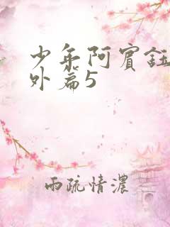 少年阿宾钰慧番外篇5