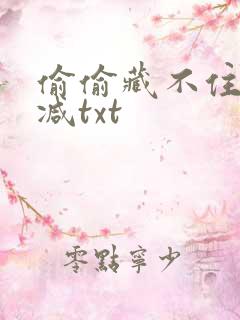 偷偷藏不住无删减txt