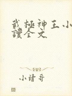 武极神王小说阅读全文