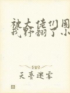 被大佬们团宠后我野翻了小说无弹窗