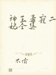 神王毒宠二嫁王妃全集