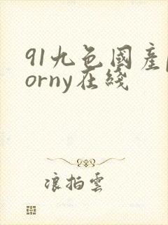 91九色国产porny在线