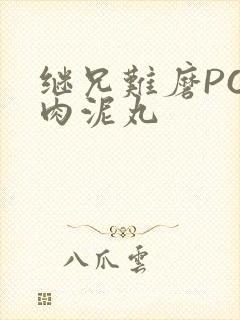 继兄难磨PO猪肉泥丸