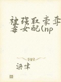 被强取豪夺的恶毒女配(np