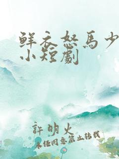 鲜衣怒马少年郎小短剧