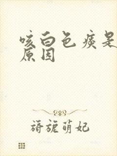 咳白色痰是什么原因