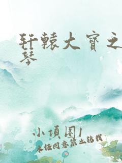轩辕大宝之苏雅琴