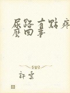 尿路有点疼是怎么回事