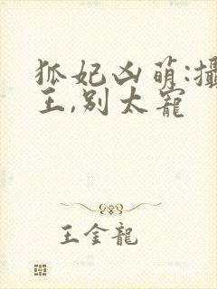 狐妃凶萌:摄政王,别太宠