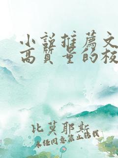 小说推荐文笔好高质量的校园文