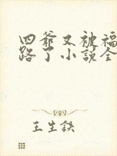 四爷又被福晋套路了小说全文