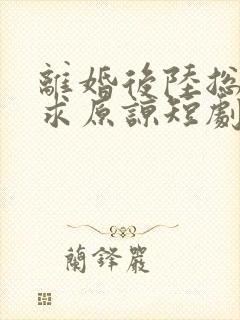 离婚后陆总跪着求原谅短剧免费观看
