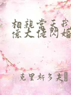 相亲当天我和千亿大佬闪婚了