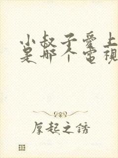 小叔子爱上嫂子是哪个电视剧