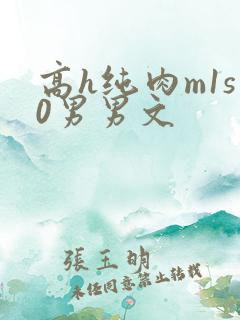 高h纯肉m1s0男男文