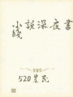 小说深夜书屋在线