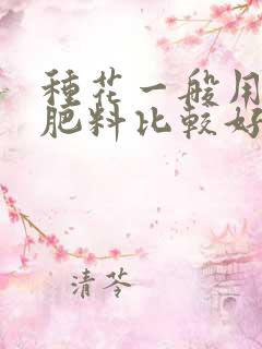 种花一般用什么肥料比较好