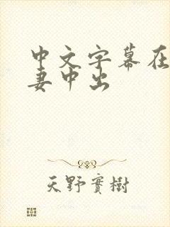中文字幕在线人妻中出