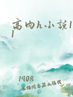 高肉h小说1v1 高肉h小说1v1