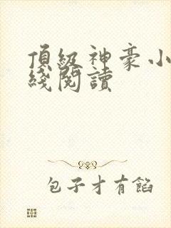 顶级神豪小说在线阅读