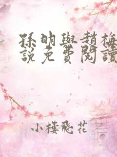 孙明与赵梅兰小说免费阅读