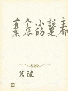 有个小说主角叫叶辰的是都市什么小说