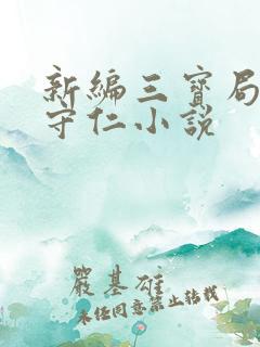 新编三宝局长秦守仁小说