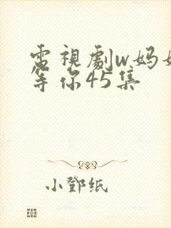 电视剧w妈妈在等你45集
